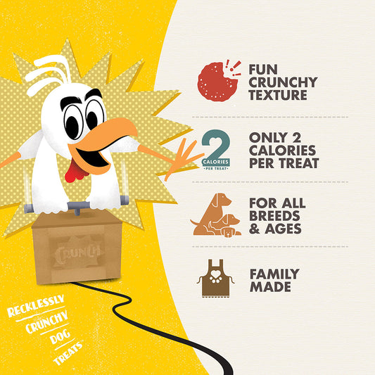 Fromm Crunchy O's Blueberry Blast Dog Treats