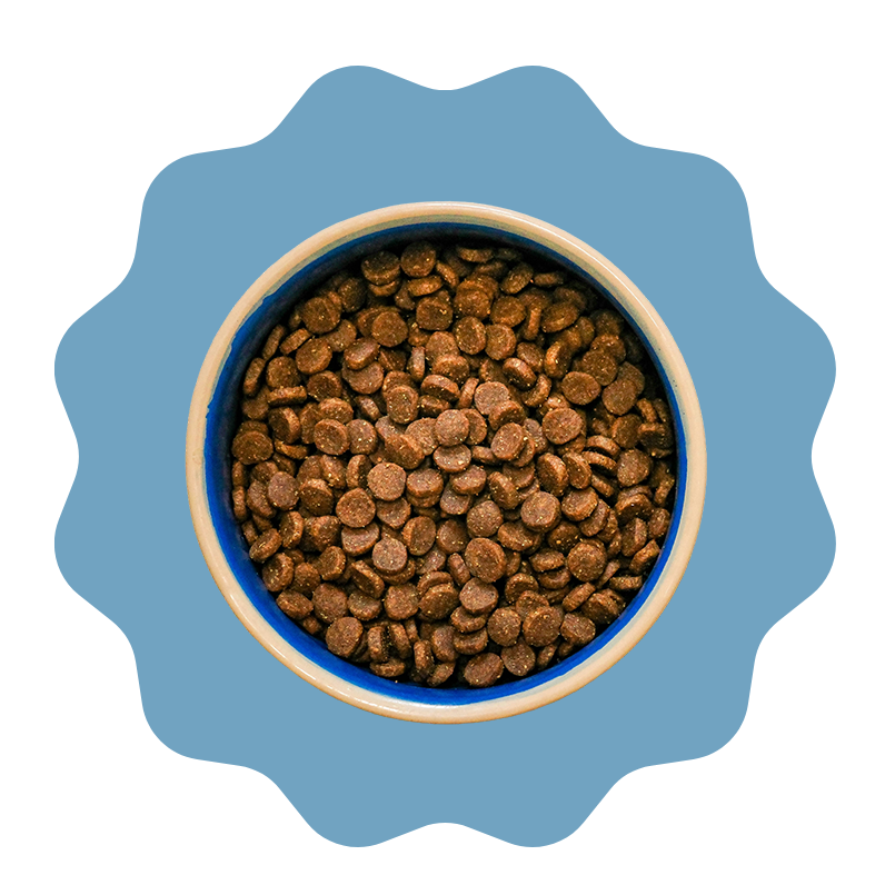 Cat Dry Food