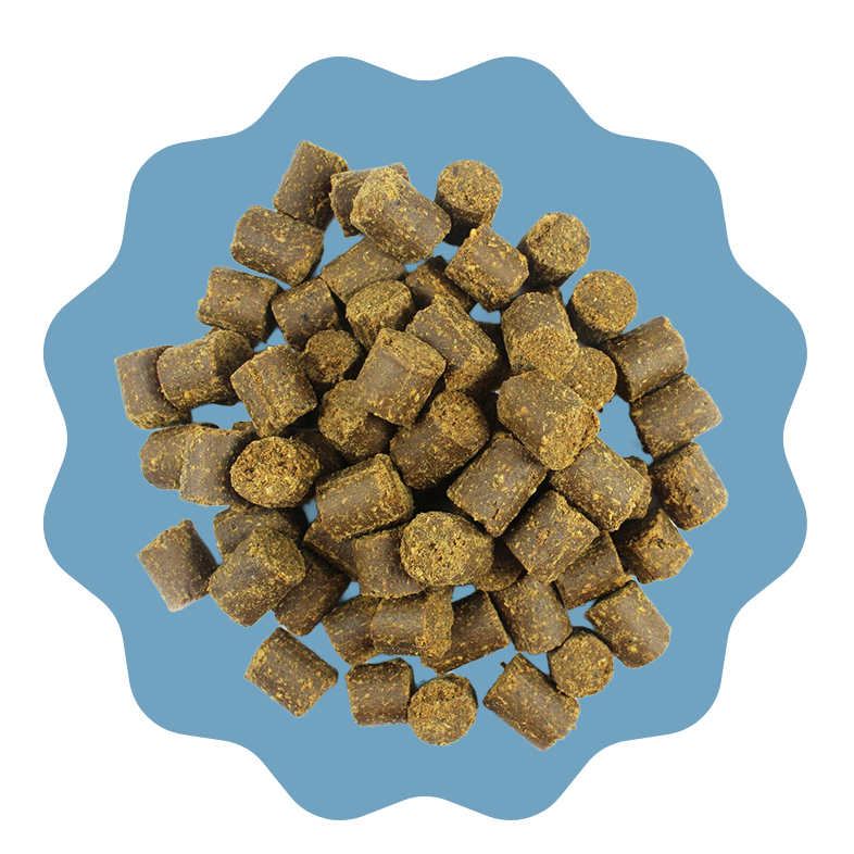Dog Treats