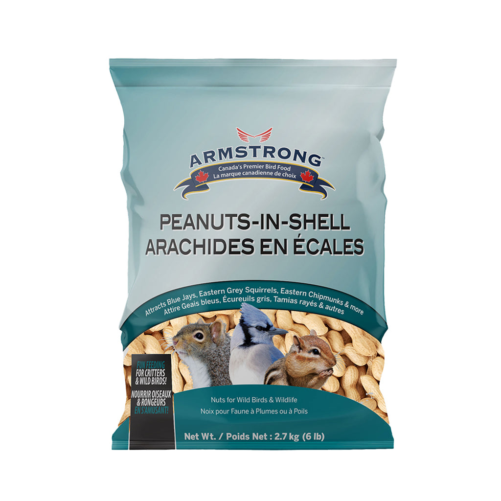 Armstrong Peanuts in Shell