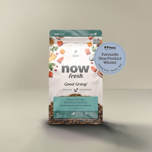 Now Fresh Good Gravy Small Breed Adult Salmon